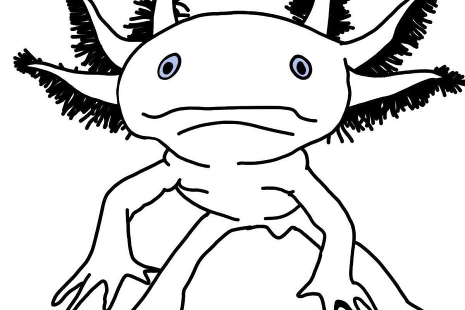 Free Axolotl Coloring Page