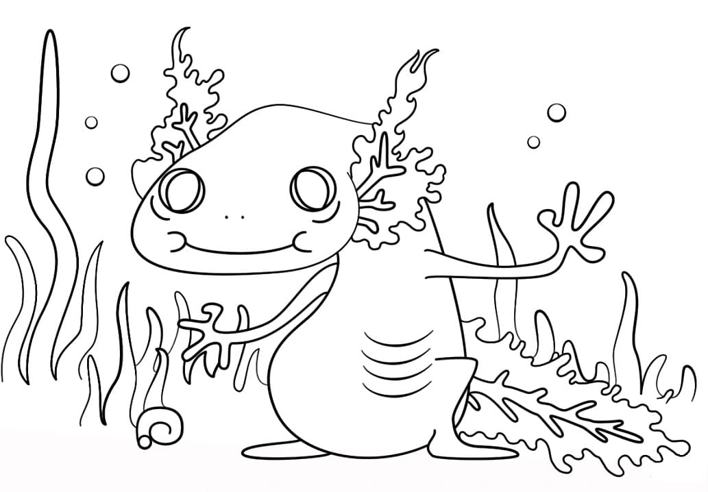 Free Axolotl Coloring Page Free Printable Coloring Pages For Kids Free Axolotl Coloring Page Free Printable Coloring Pages For Kids