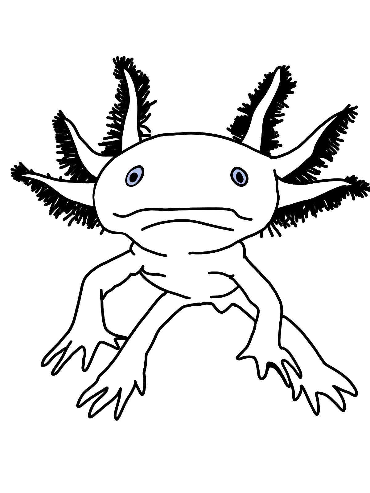 Free Axolotl Coloring Page Free Axolotl Coloring Page
