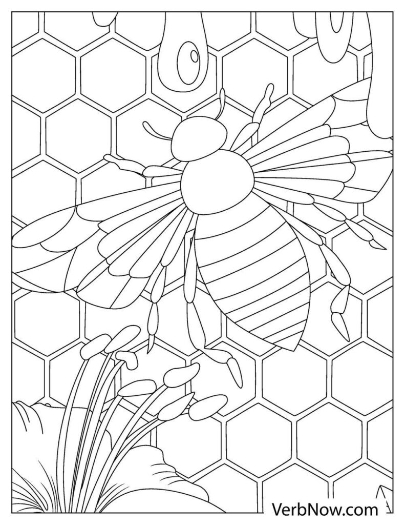 Free BEE Coloring Pages For Download Printable PDF 