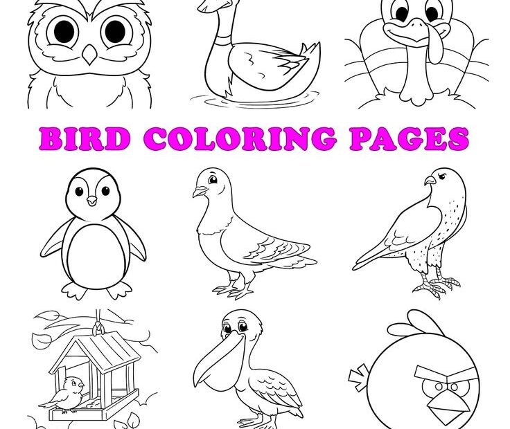 Free Bird Coloring Pages For Kids 61 Printable Sheets Bird Coloring