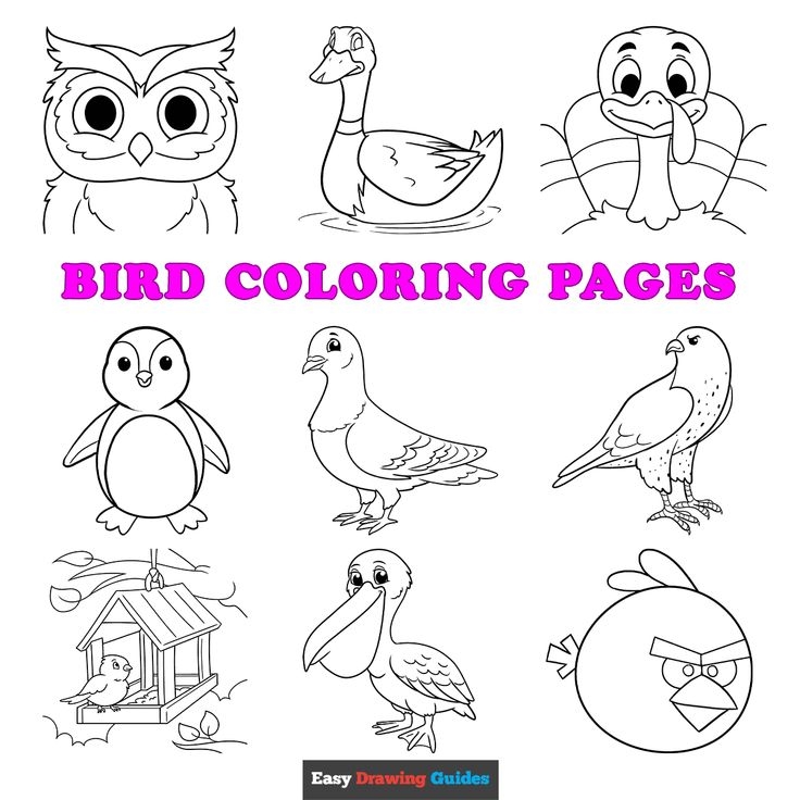 Free Bird Coloring Pages For Kids 61 Printable Sheets Bird Coloring Free Bird Coloring Pages For Kids 61 Printable Sheets Bird Coloring
