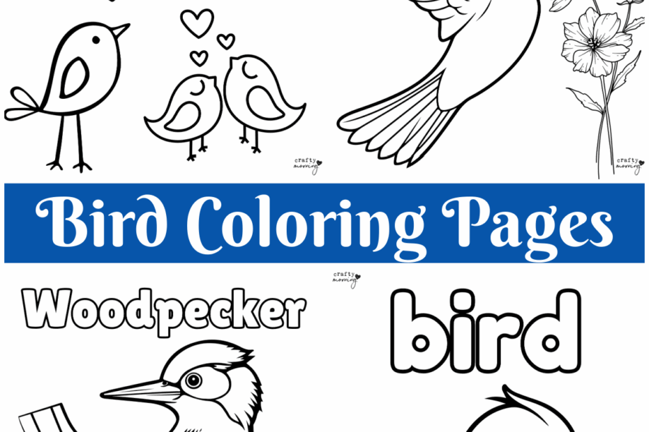 Free Bird Pictures To Print And Color Infoupdate