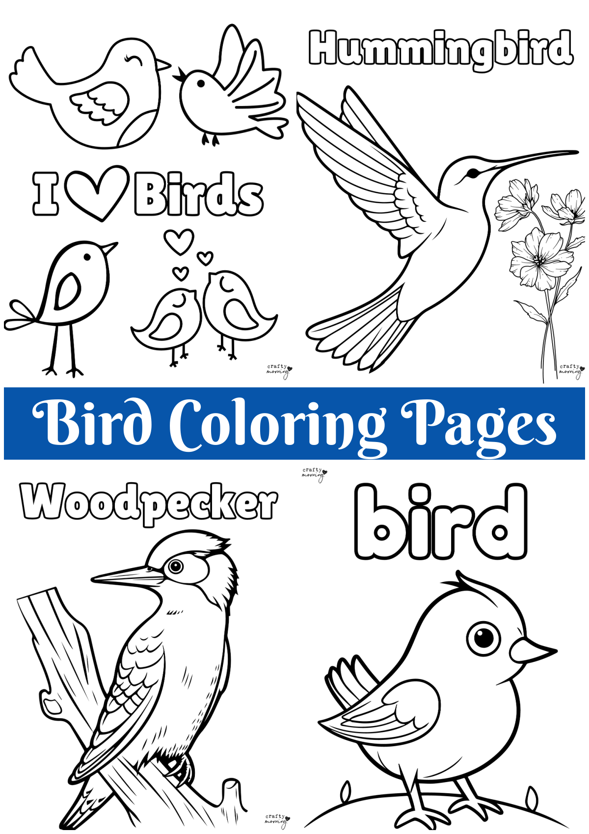 Free Bird Pictures To Print And Color Infoupdate Free Bird Pictures To Print And Color Infoupdate