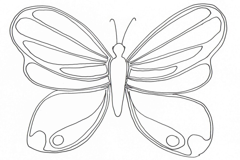 Free Butterfly Coloring Pages Printable Printable edu pe