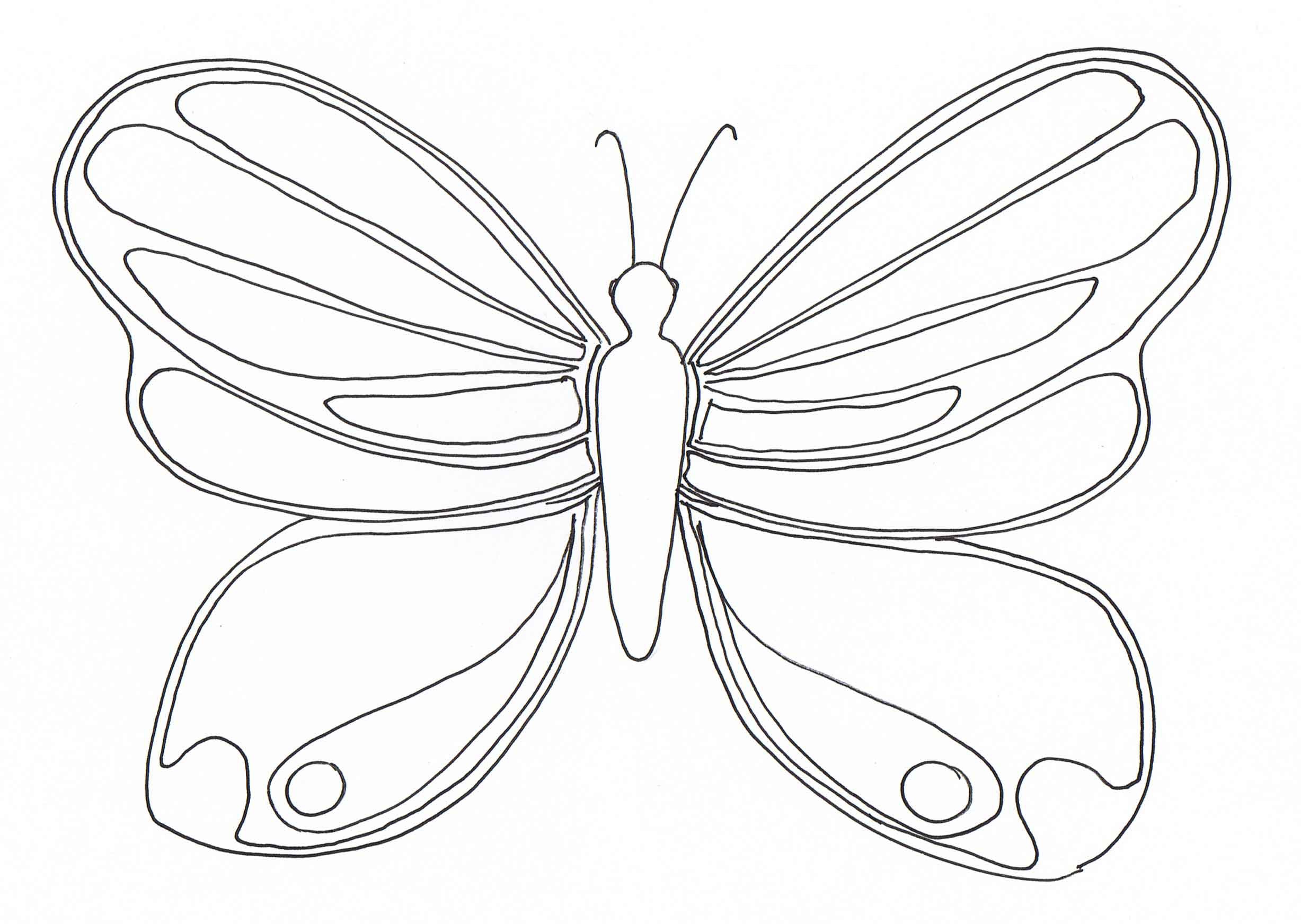 Free Butterfly Coloring Pages Printable Printable edu pe