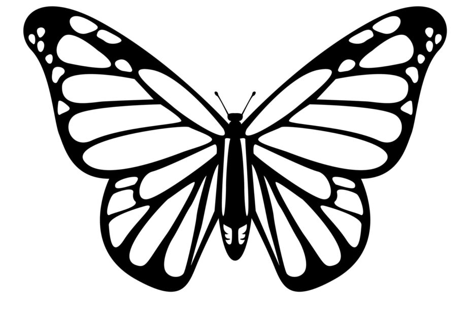 Free Butterfly Stencil Monarch Butterfly Outline And Silhouette
