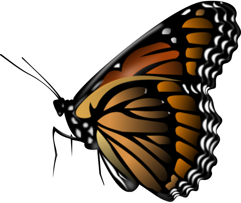 Free Clipart Monarch Butterfly Merlin2525