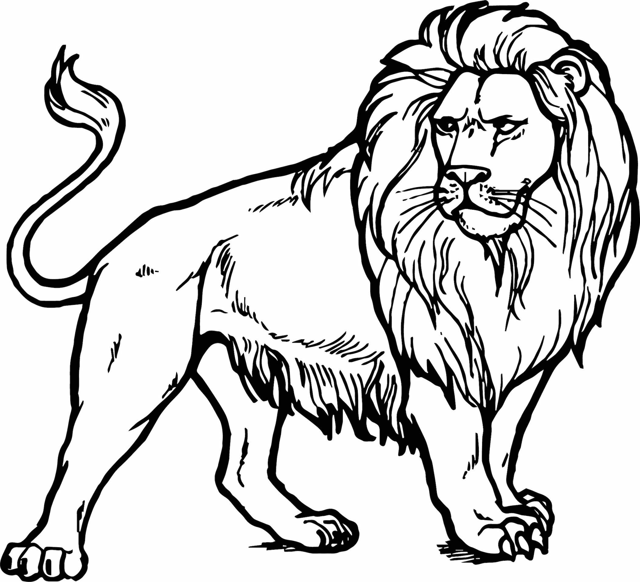 free printable lion