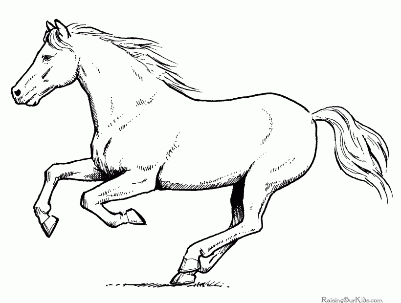 Free Coloring Pages Horses Coloring Home