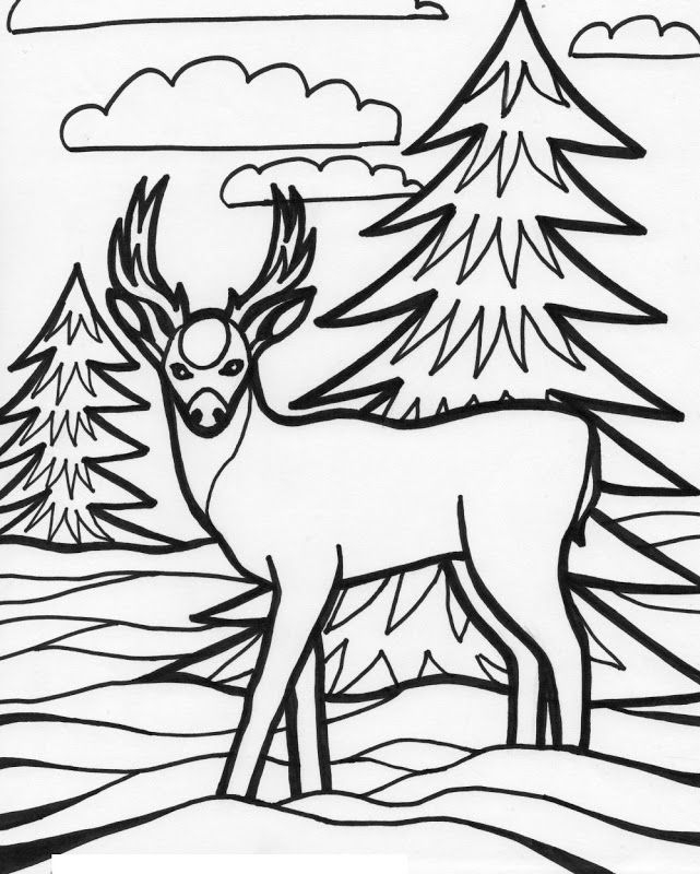 Free Deer Coloring Pages Printable Download Free Deer Coloring Pages Free Deer Coloring Pages Printable Download Free Deer Coloring Pages