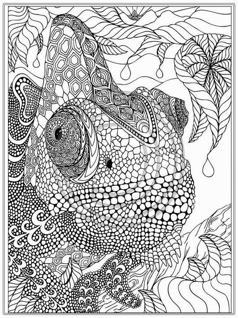 Free Detailed Fish Coloring Pages Download Free Detailed Fish Coloring 