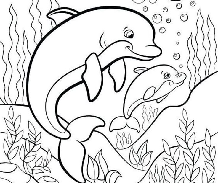 Free Dolphin Coloring Pages