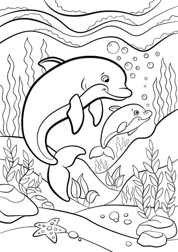 Free Dolphin Coloring Pages Free Dolphin Coloring Pages