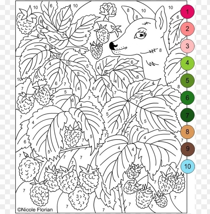 Free Download HD PNG Color By Number Coloring Pages For Adults PNG 