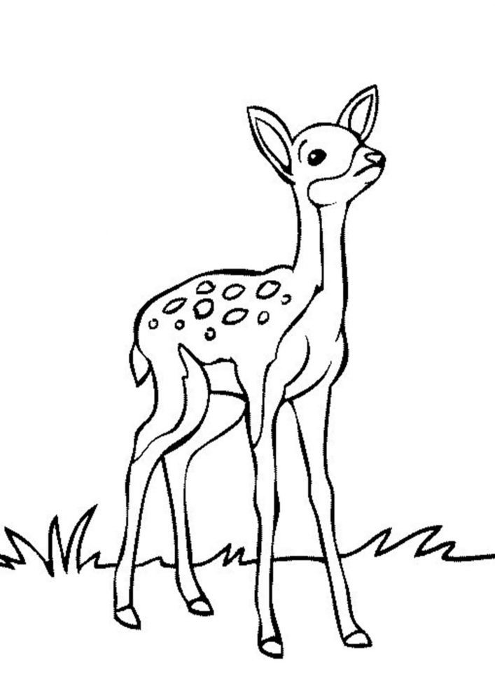 Free Easy To Print Deer Coloring Pages Tulamama Free Easy To Print Deer Coloring Pages Tulamama