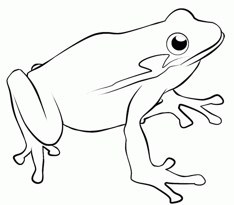 Free Frog Color Pages Download Free Frog Color Pages Png Images Free Free Frog Color Pages Download Free Frog Color Pages Png Images Free
