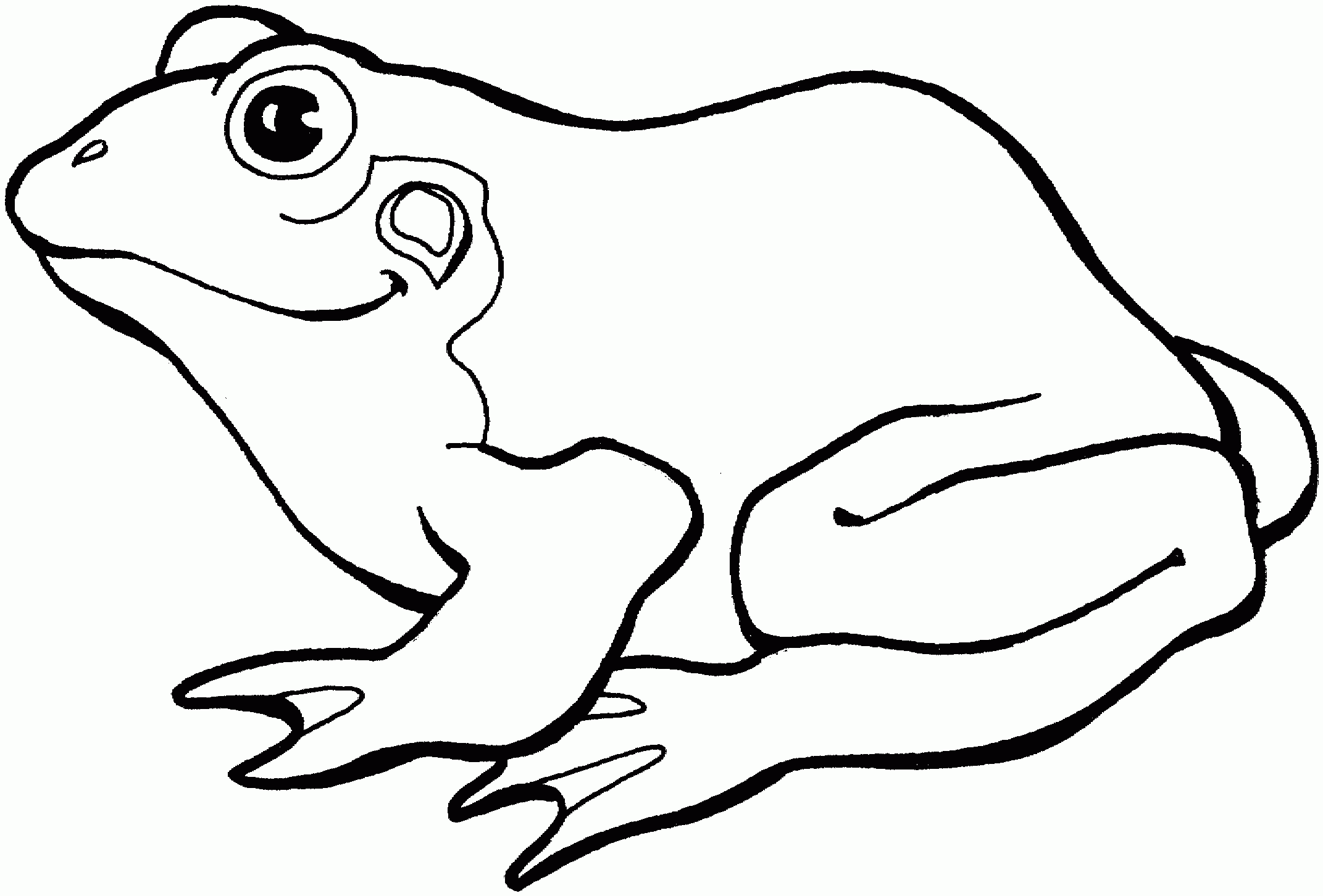 Free Frog Coloring Pages