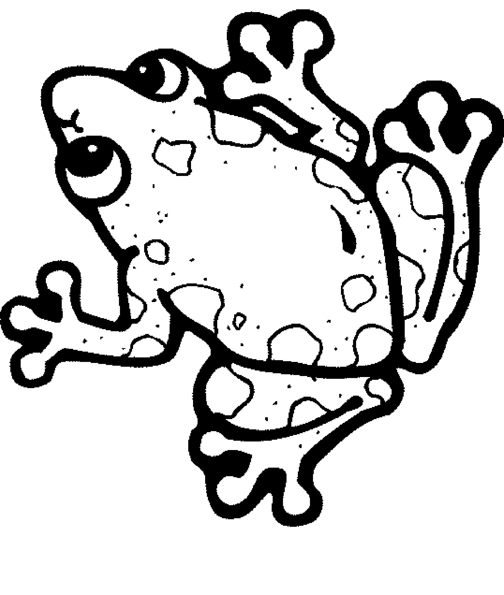 Free Frog Printables Free Frog Printables