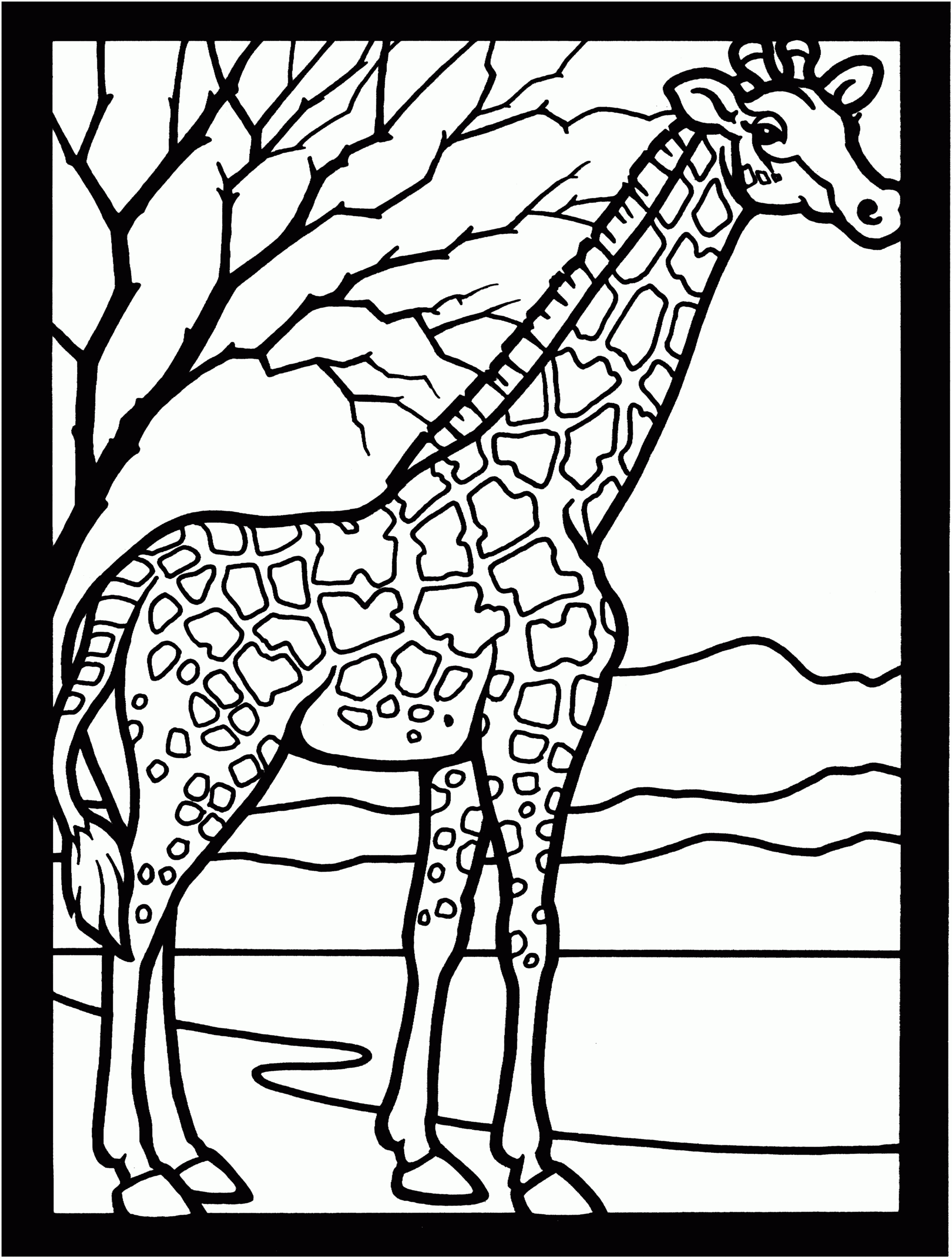 coloring pictures of a giraffe coloring pictures of a giraffe
