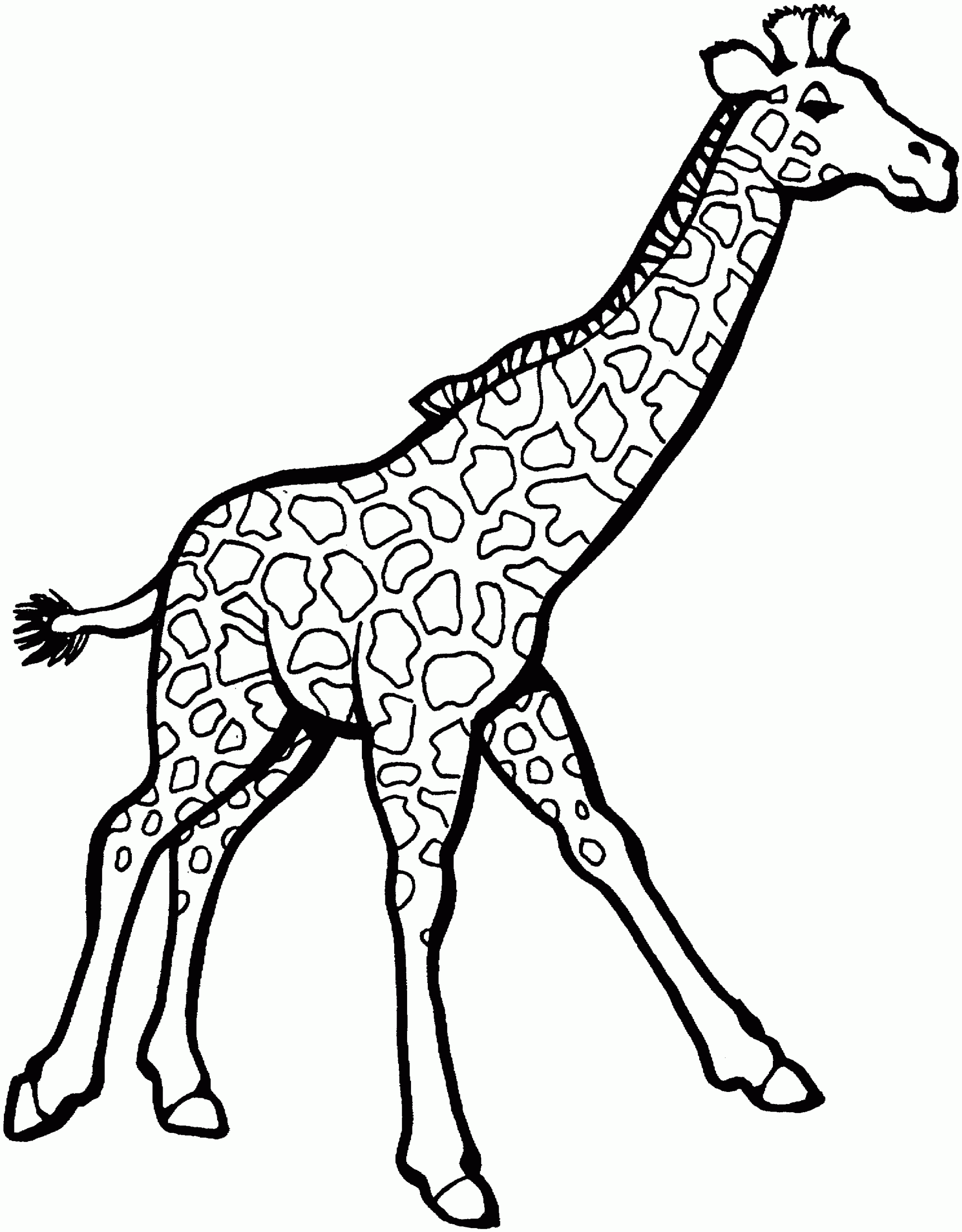 Free Giraffe Coloring Pages Free Giraffe Coloring Pages