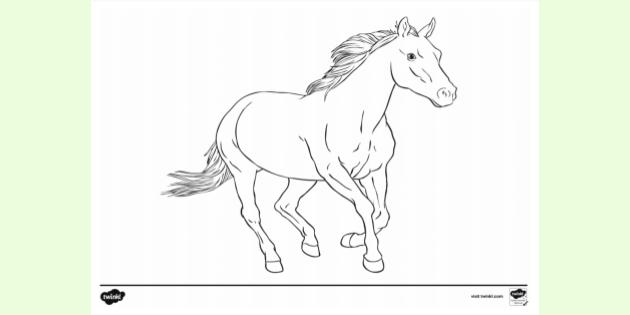 horse colouring pictures