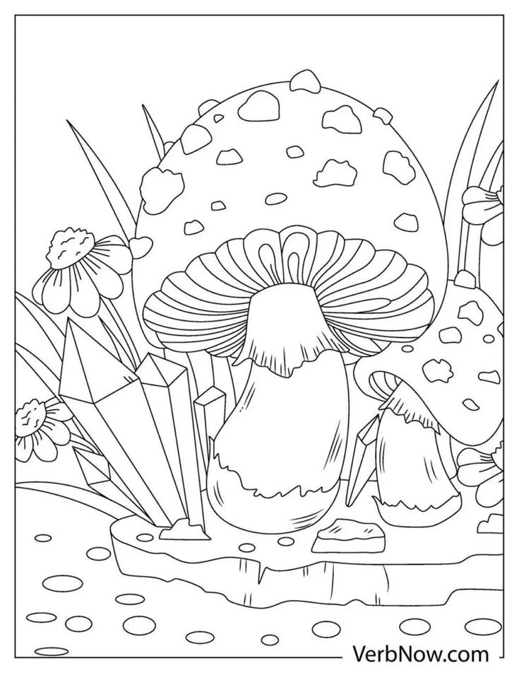 Free MUSHROOM Coloring Pages Book For Download Printable PDF Free MUSHROOM Coloring Pages Book For Download Printable PDF