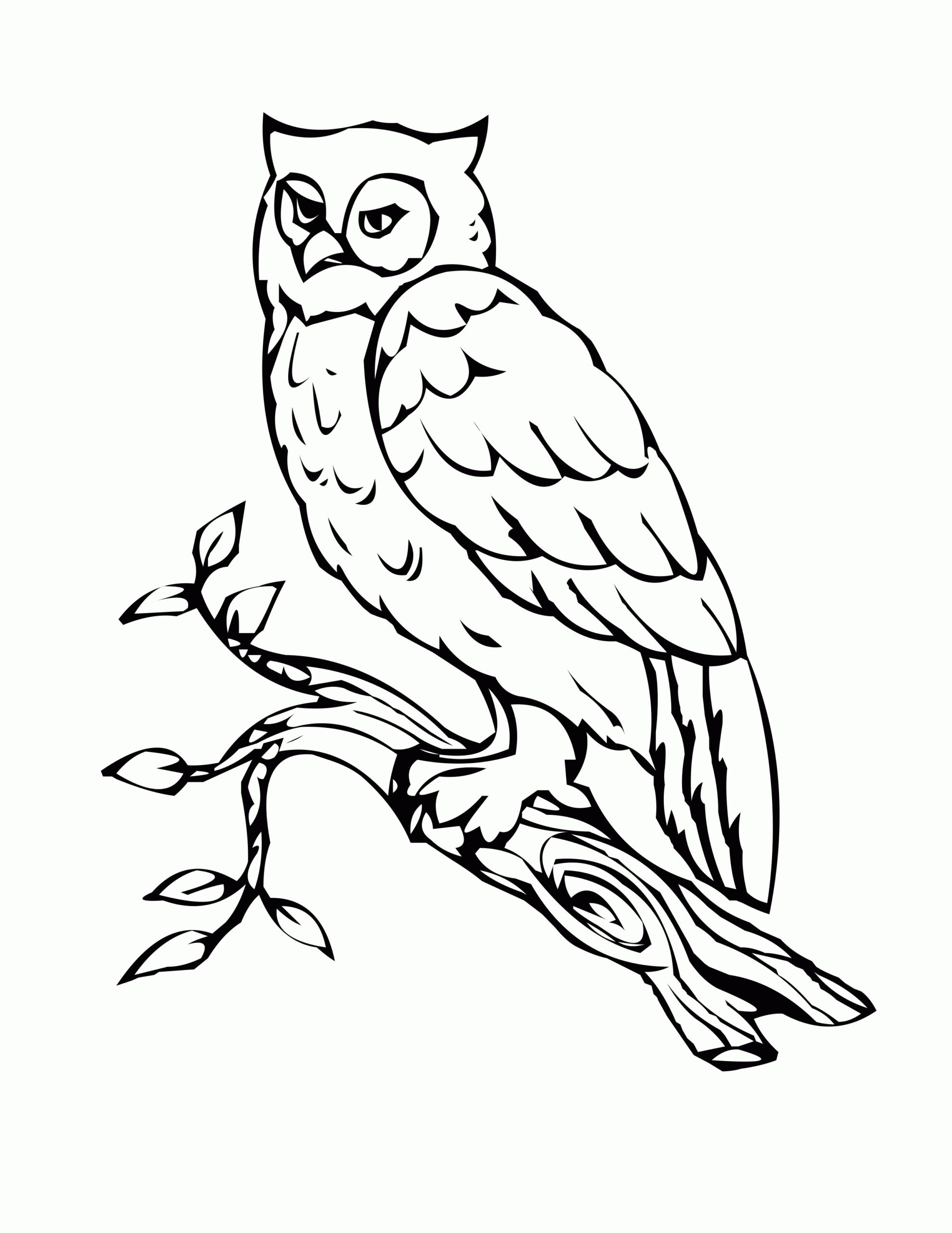 Free Owl Preschool Coloring Pages Coloring Home Free Owl Preschool Coloring Pages Coloring Home