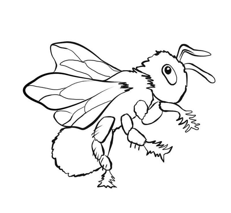 bee coloring pages free printable