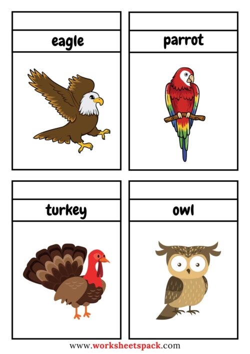 Free Printable Birds Flashcards PDF Worksheetspack