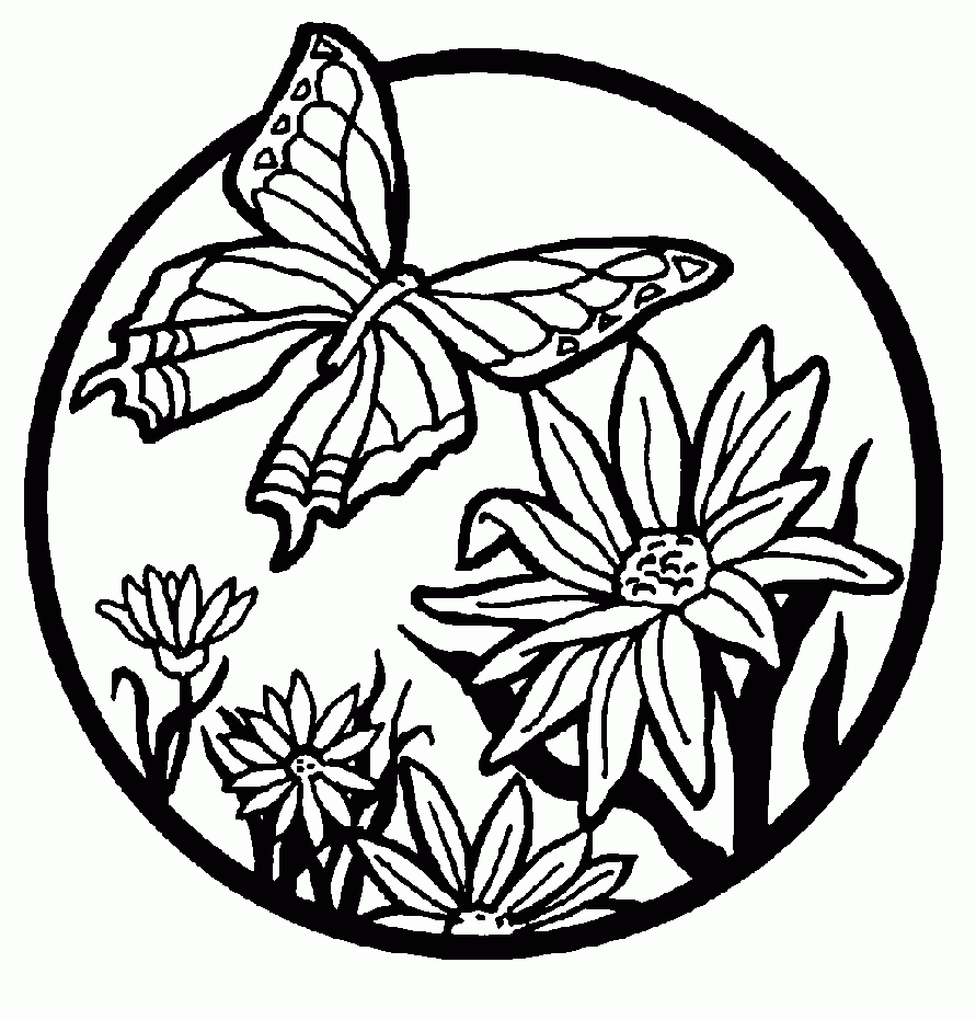 Free Printable Butterfly Coloring Pages For Kids Free Printable Butterfly Coloring Pages For Kids