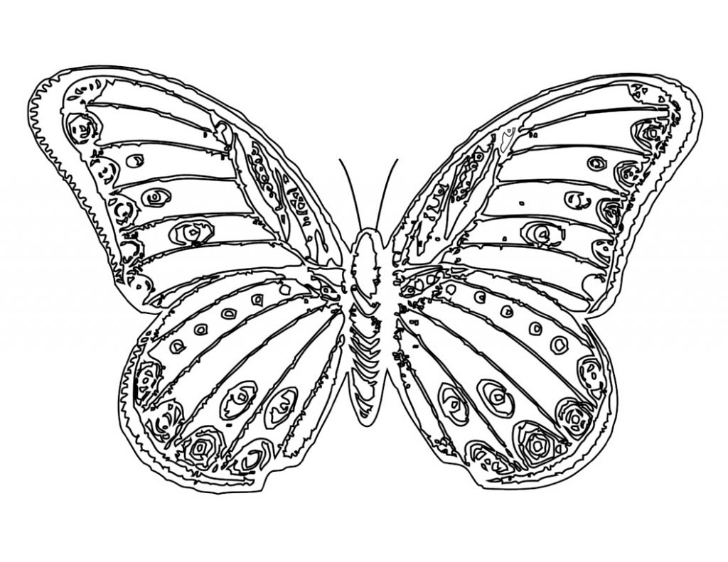 Butterfly Coloring Pages For Kids