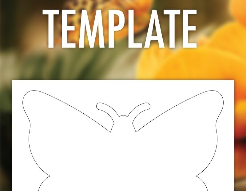 Free Printable Butterfly Template Pjs And Paint