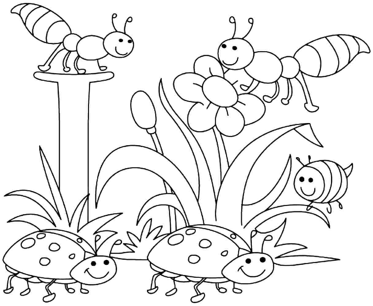Free Printable Coloring Pages For Preschool Coloring Home