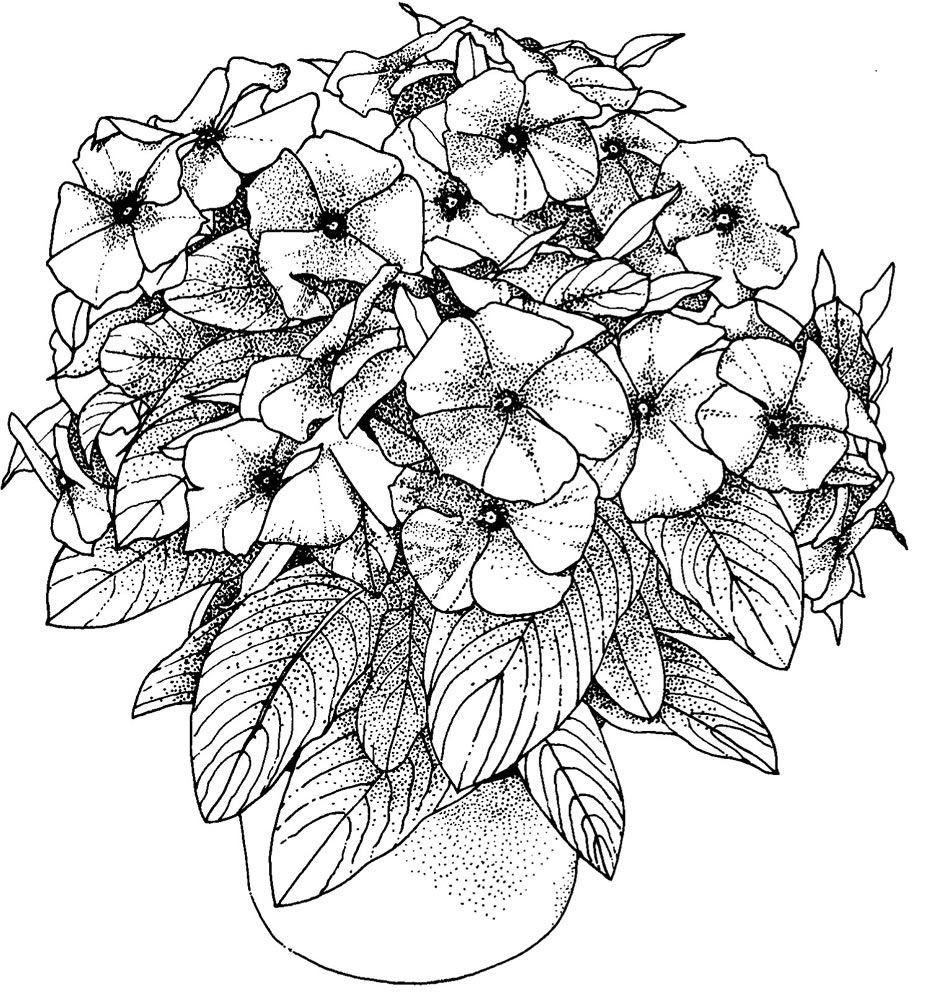 flower coloring pages printable adult