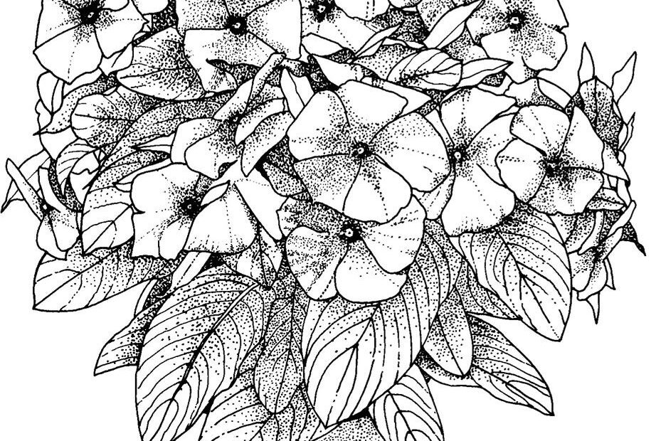 Free Printable Coloring Pages For Victorious Coloring Home