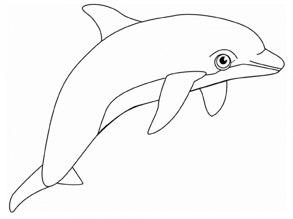 Free Printable Cute Dolphin Coloring Pages Free Coloring Sheet Free Printable Cute Dolphin Coloring Pages Free Coloring Sheet