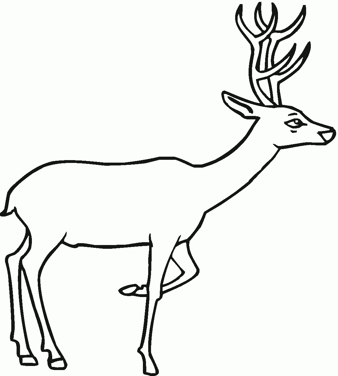 Free Printable Deer Coloring Pages For Kids Free Printable Deer Coloring Pages For Kids