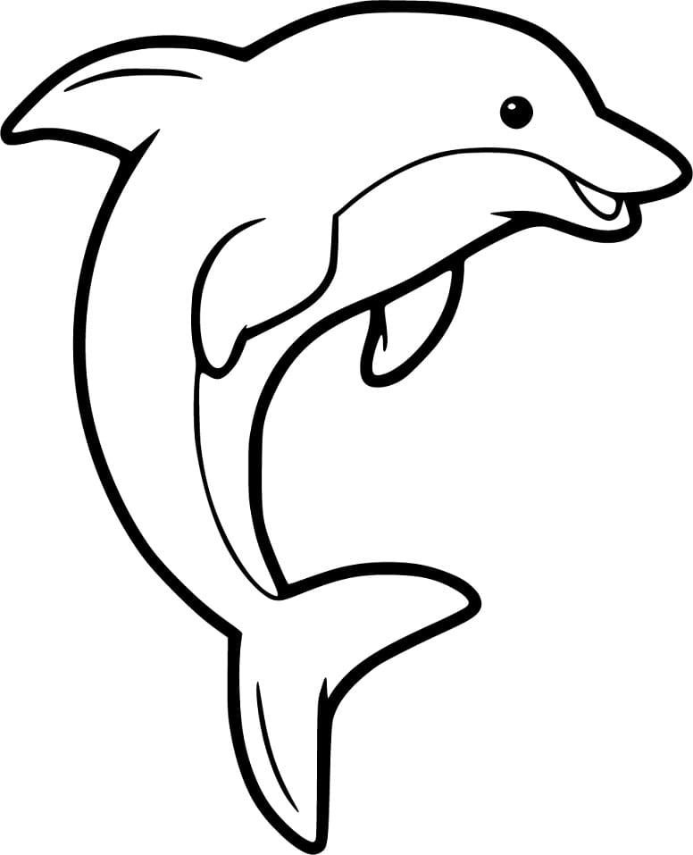 Free Printable Dolphin Coloring Page Free Printable Coloring Pages Free Printable Dolphin Coloring Page Free Printable Coloring Pages