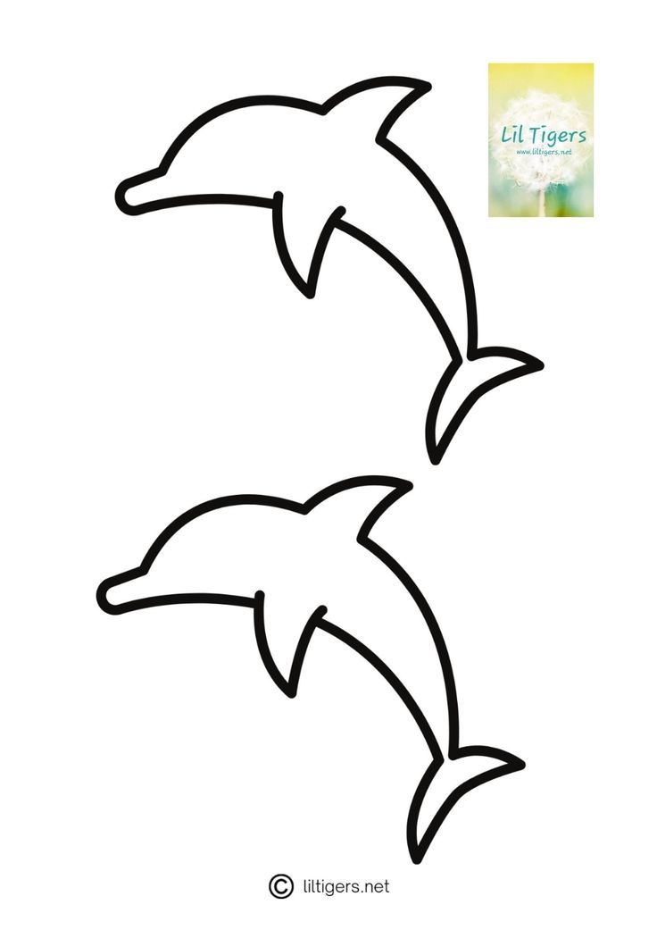 free printable dolphin free printable dolphin