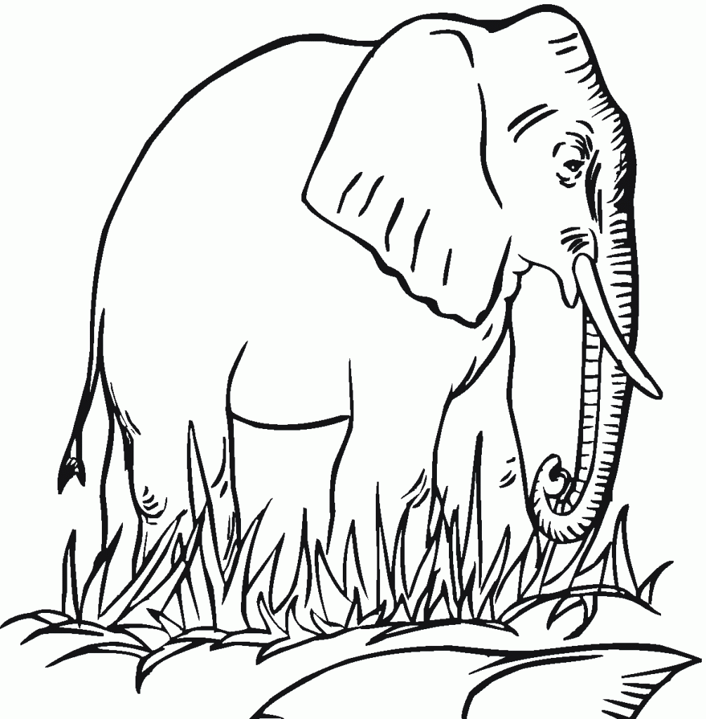 elephant coloring page free elephant coloring page free