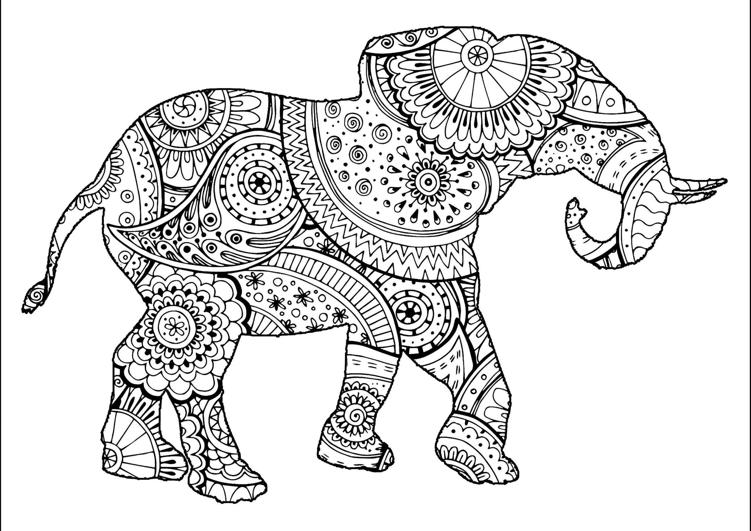 Free Printable Elephant Coloring Pages For Adults Free Coloring Sheet 