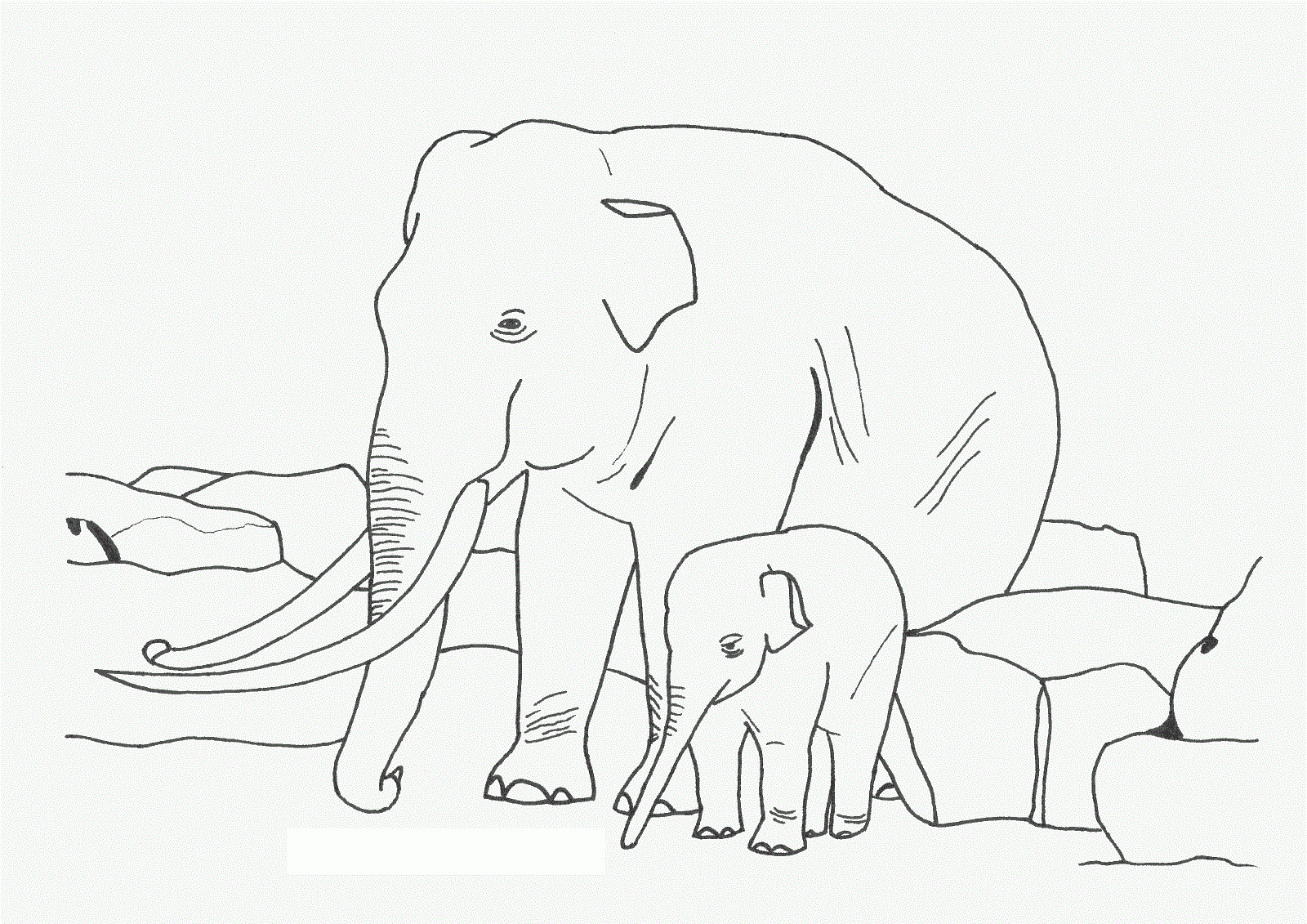 Elephant Coloring Pages Elephant Coloring Pages