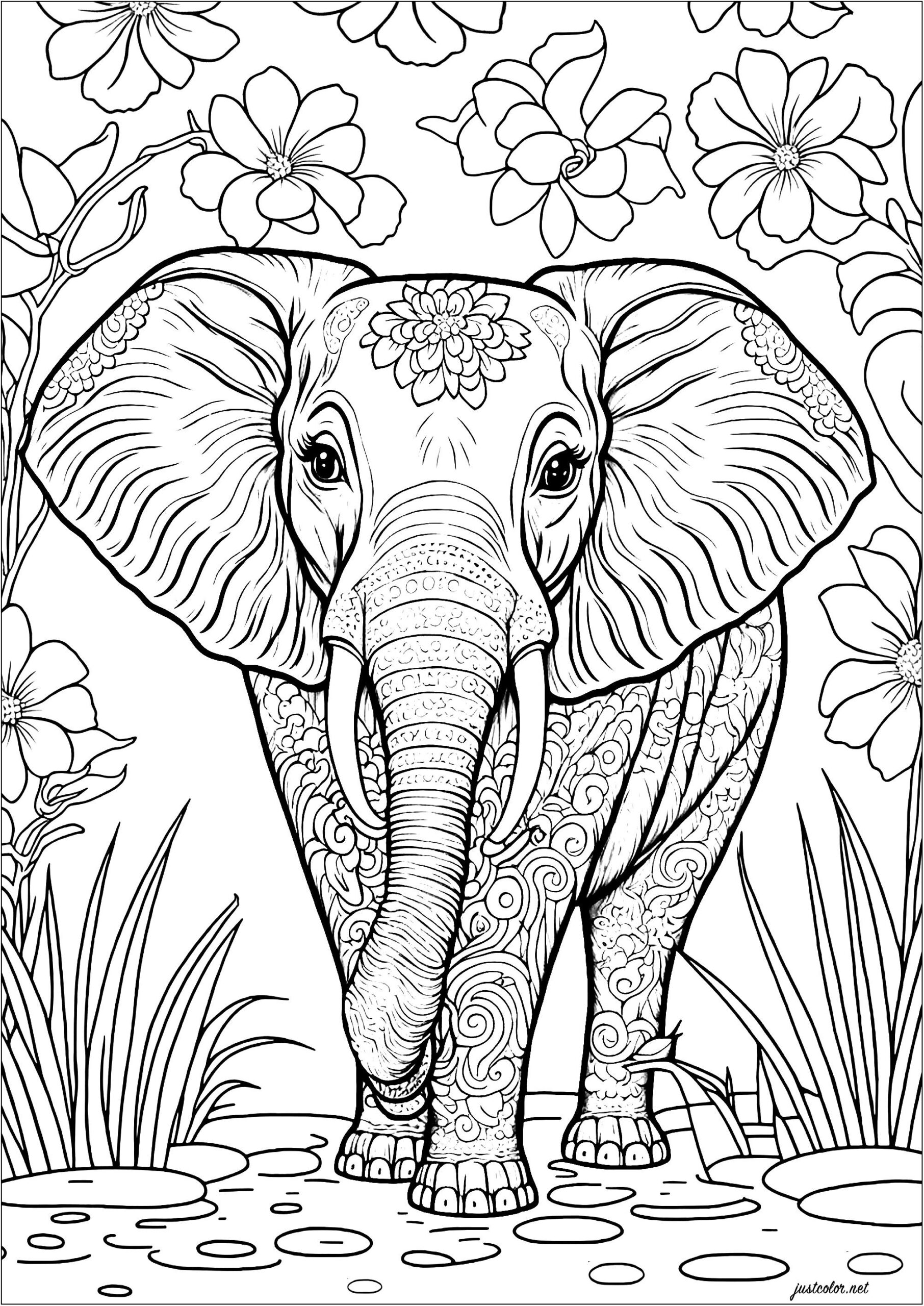 elephant coloring pages printable free elephant coloring pages printable free