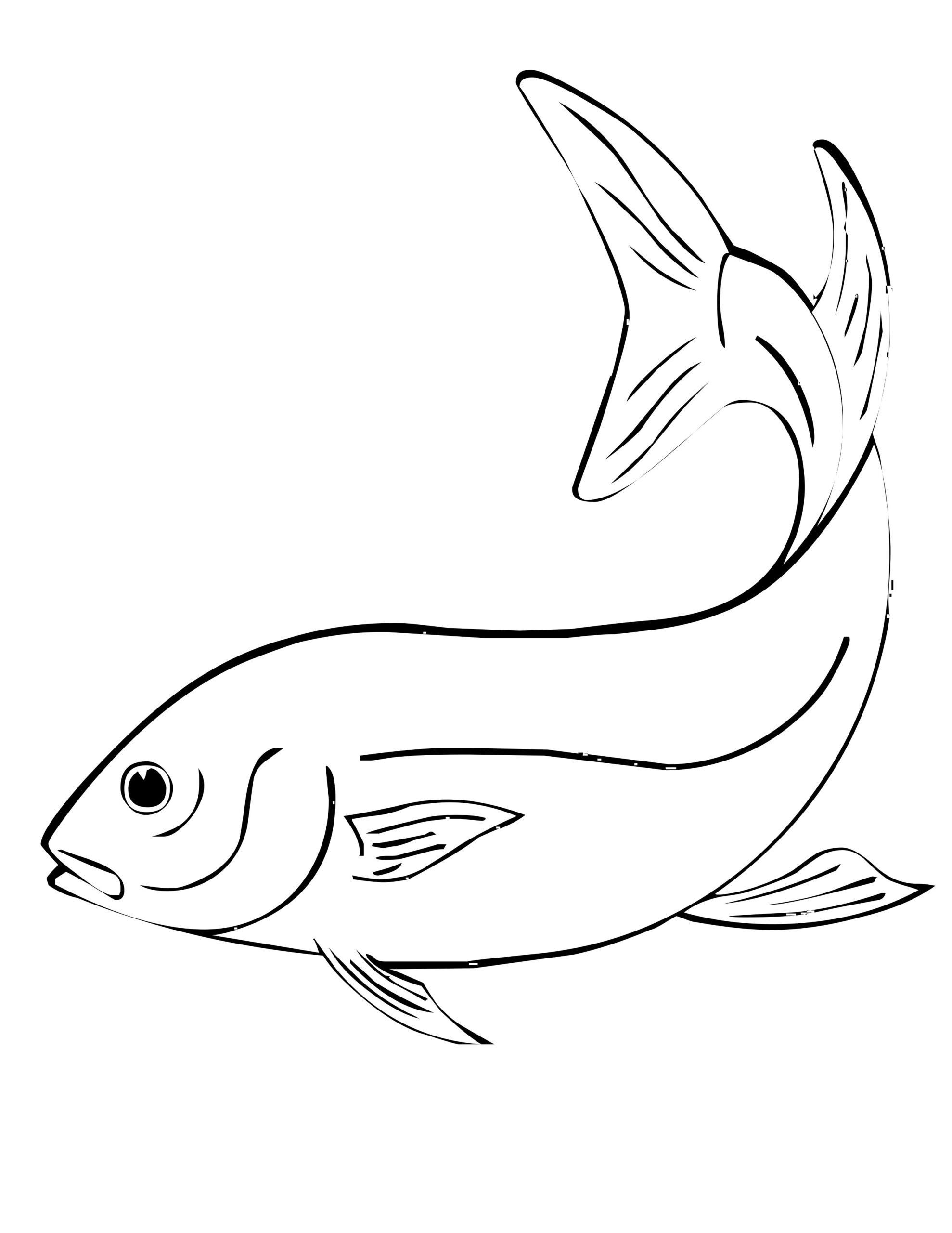 Fish Coloring Pages