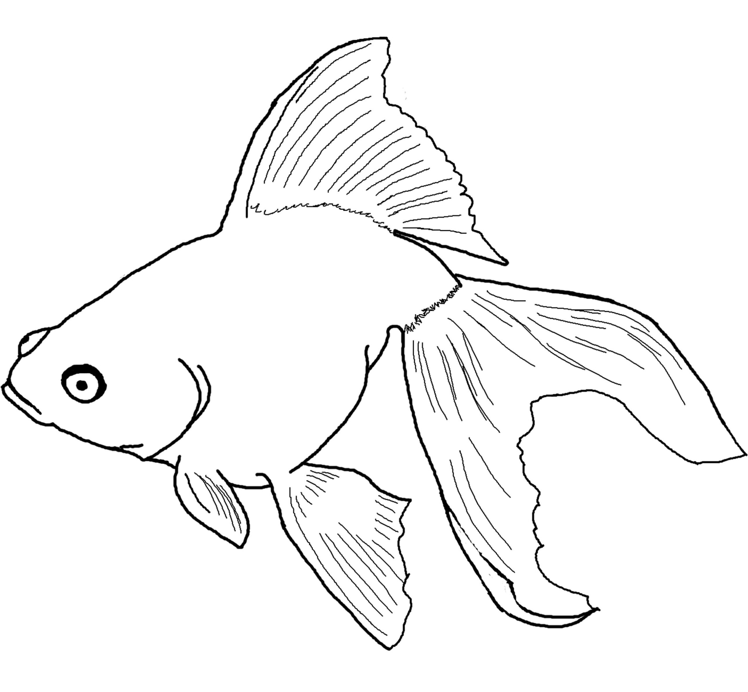 Free Printable Fish Coloring Pages Free Printable