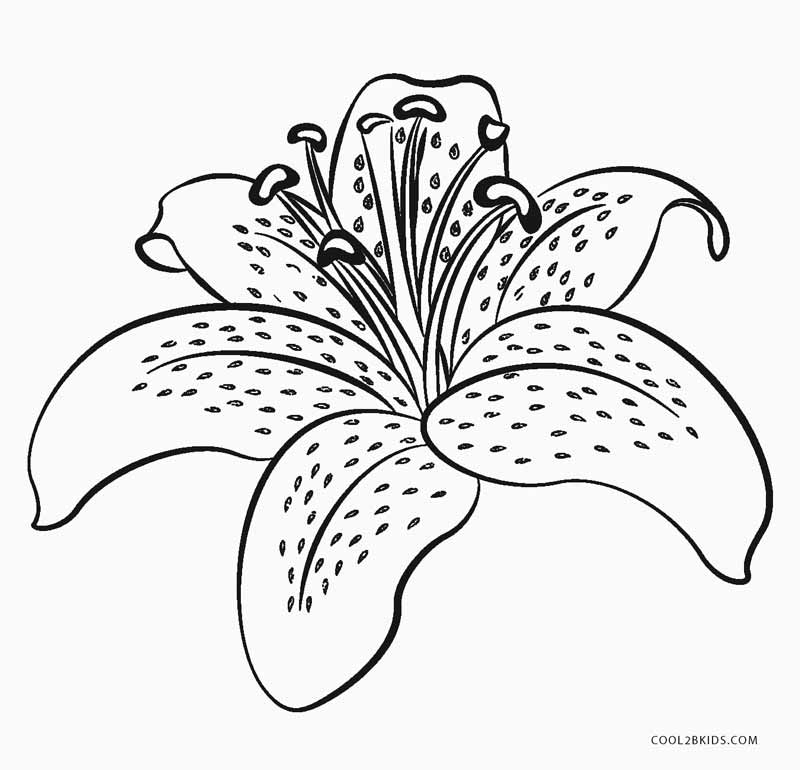 flower color page printable