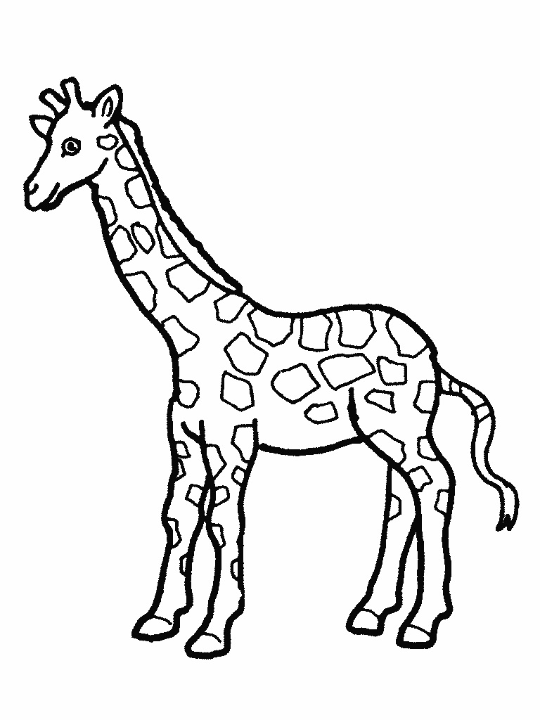 cute giraffe coloring pages cute giraffe coloring pages