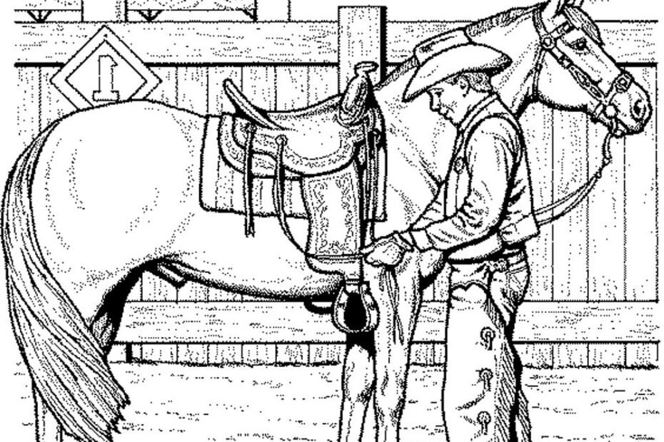 Free Printable Horse Coloring Pages For Adults Coloring Home