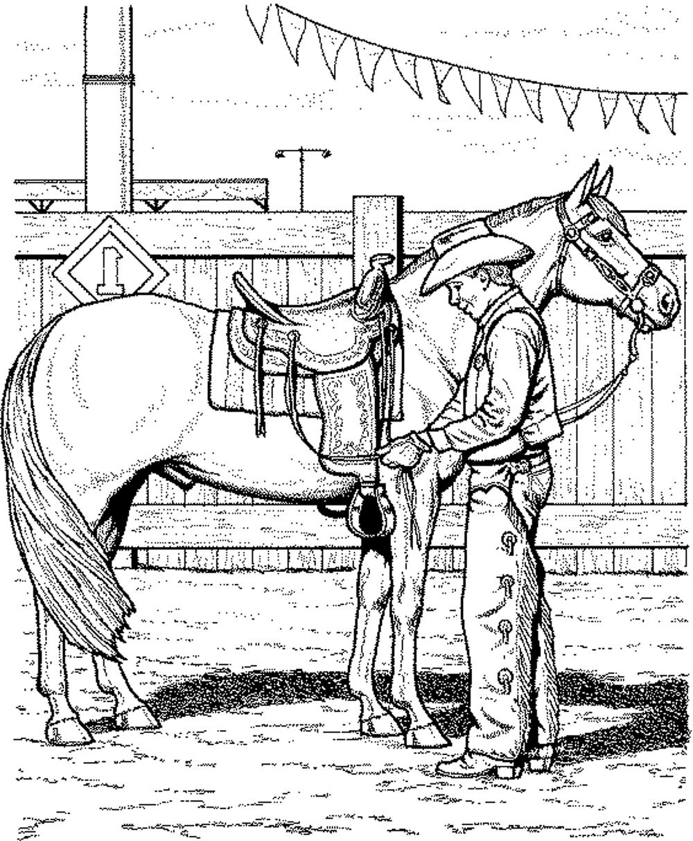Free Printable Horse Coloring Pages For Adults Coloring Home